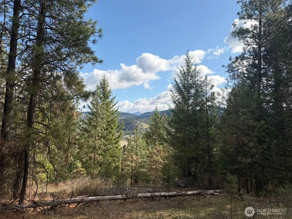 111 West Curlew Lake Road Republic WA 99166
