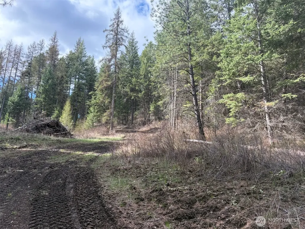 111 West Curlew Lake Road Republic WA 99166