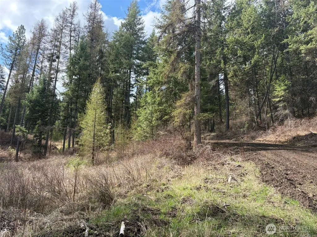 111 West Curlew Lake Road Republic WA 99166