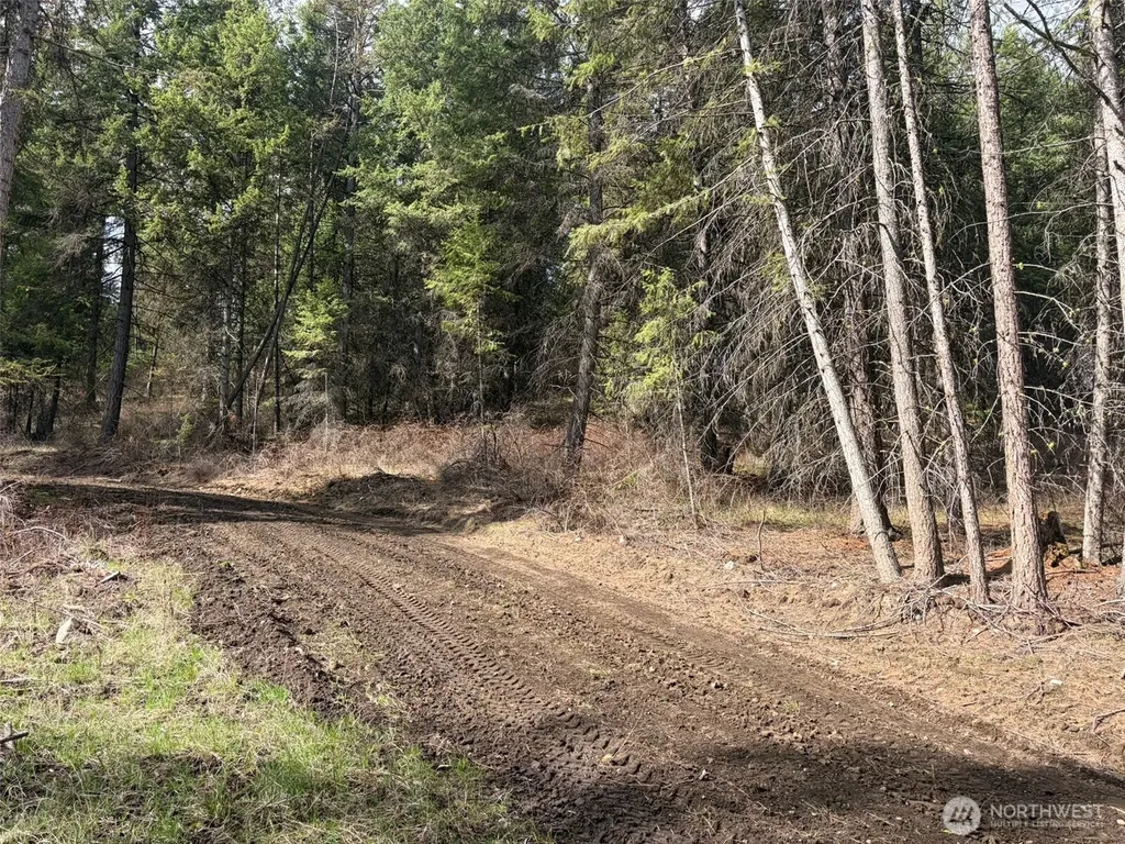 111 West Curlew Lake Road Republic WA 99166
