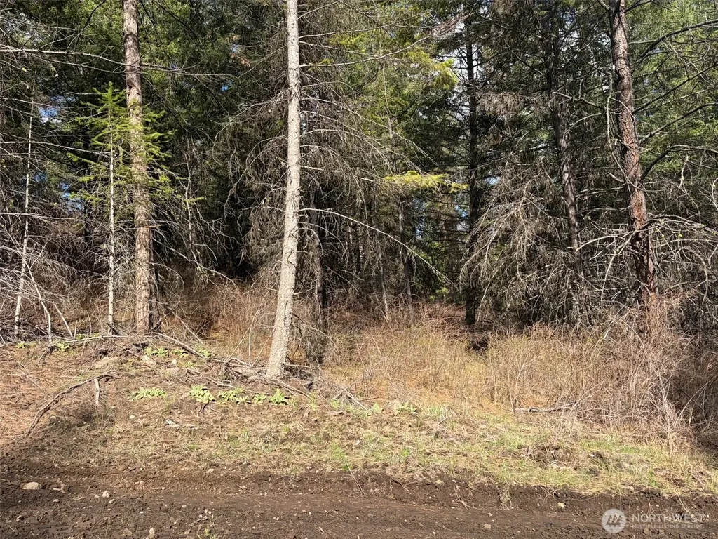 111 West Curlew Lake Road Republic WA 99166