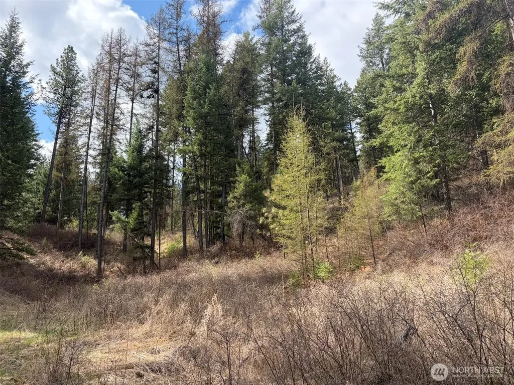111 West Curlew Lake Road Republic WA 99166