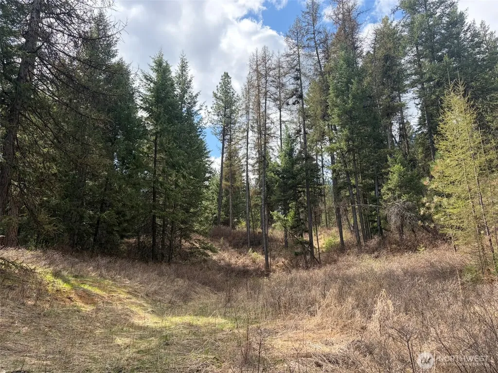 111 West Curlew Lake Road Republic WA 99166
