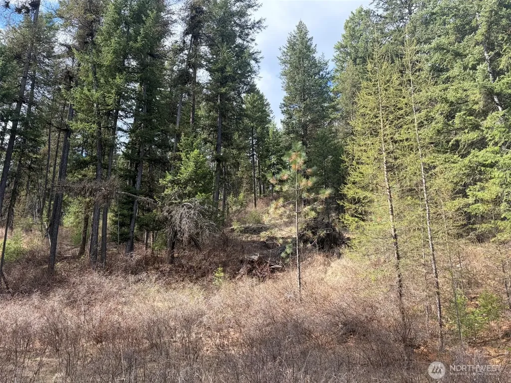 111 West Curlew Lake Road Republic WA 99166
