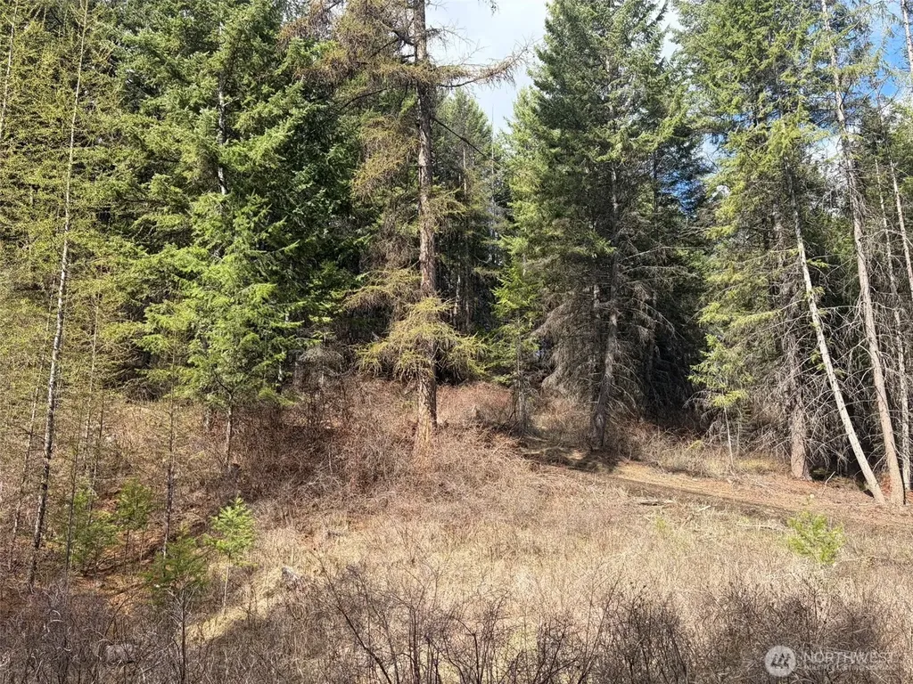 111 West Curlew Lake Road Republic WA 99166