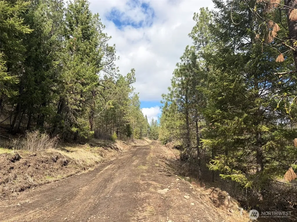 111 West Curlew Lake Road Republic WA 99166