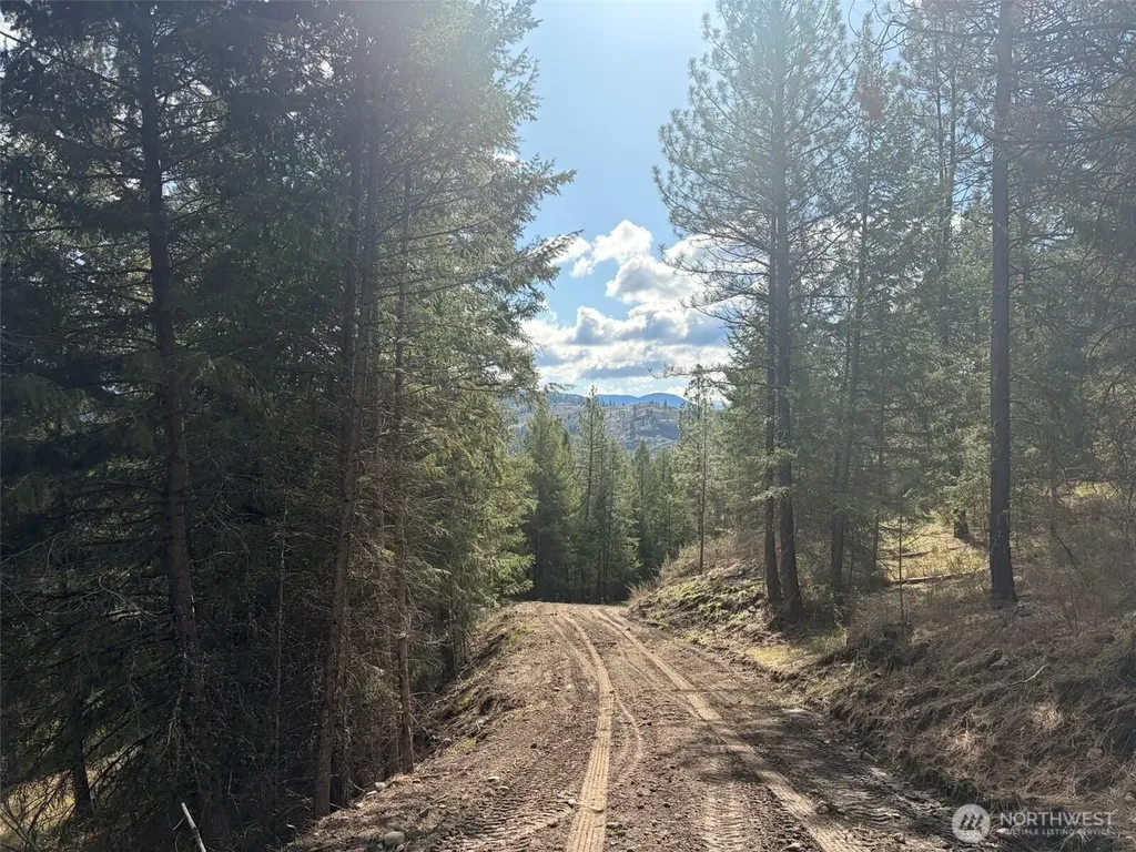 111 West Curlew Lake Road Republic WA 99166