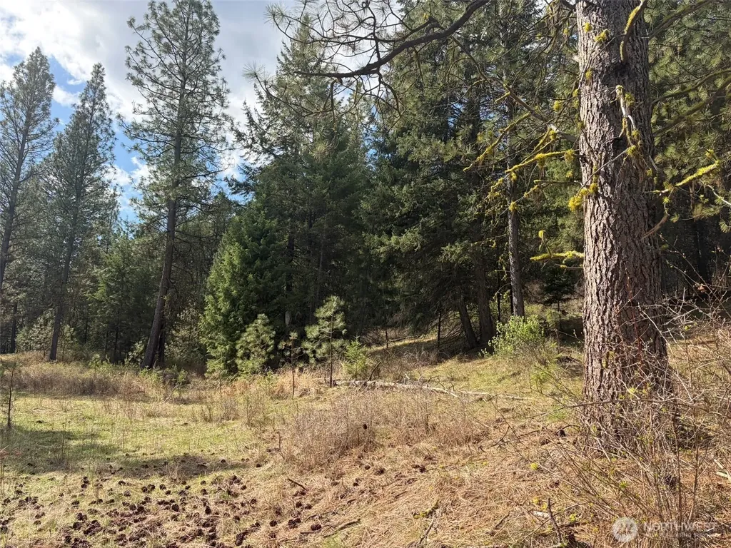 111 West Curlew Lake Road Republic WA 99166