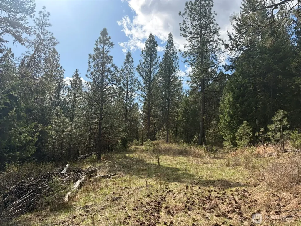 111 West Curlew Lake Road Republic WA 99166