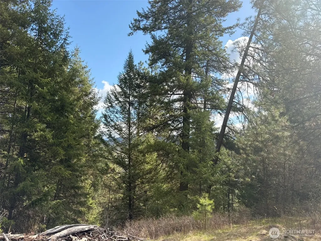 111 West Curlew Lake Road Republic WA 99166