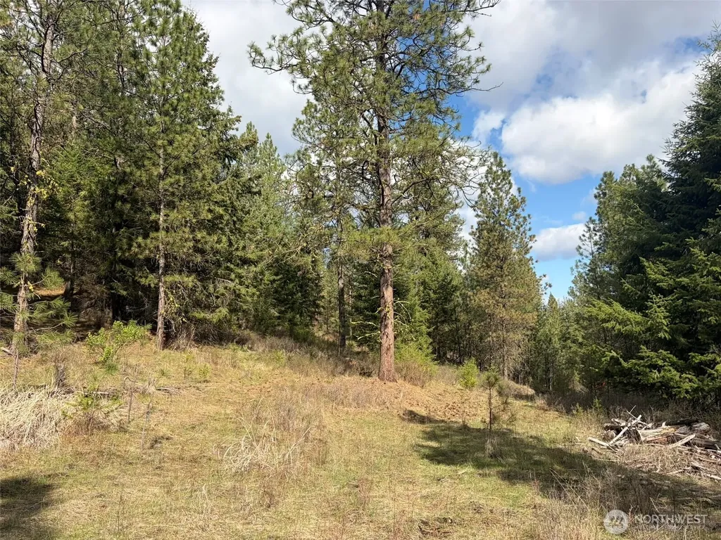 111 West Curlew Lake Road Republic WA 99166
