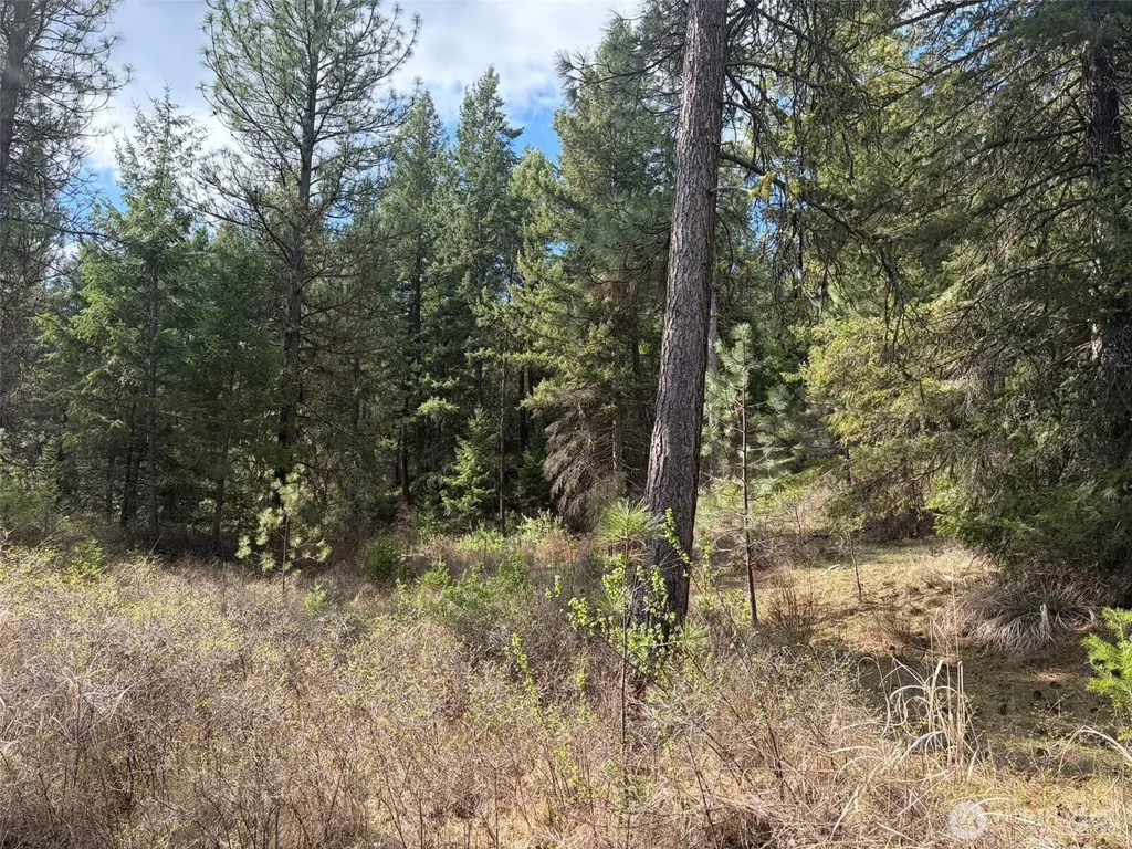 111 West Curlew Lake Road Republic WA 99166