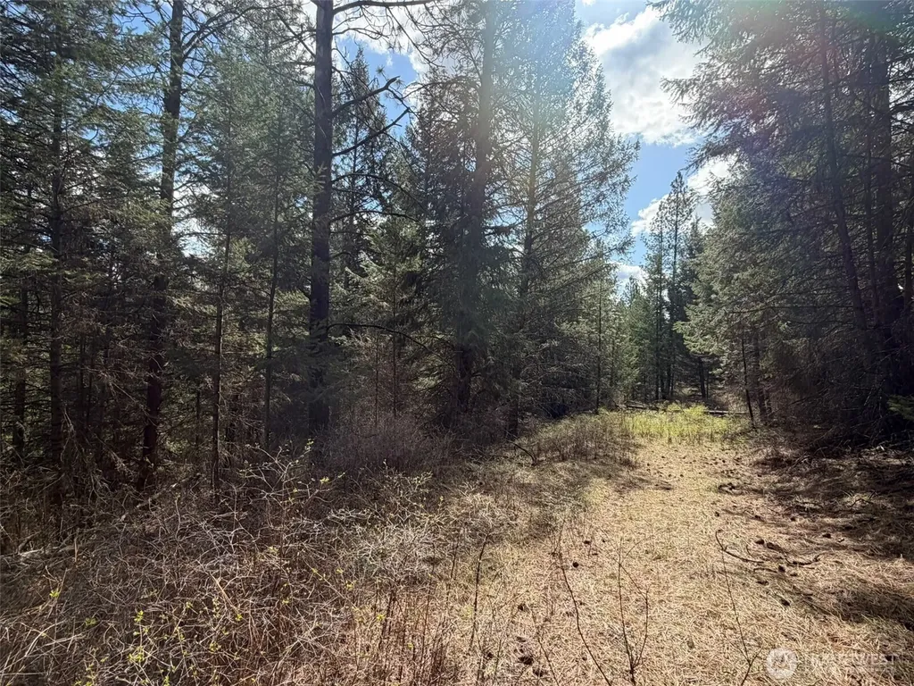 111 West Curlew Lake Road Republic WA 99166