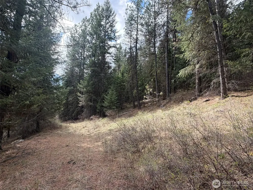 111 West Curlew Lake Road Republic WA 99166