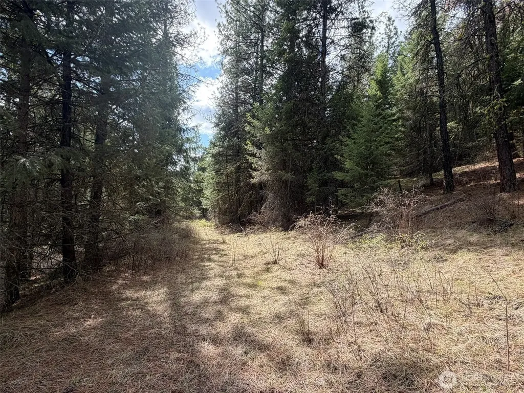 111 West Curlew Lake Road Republic WA 99166