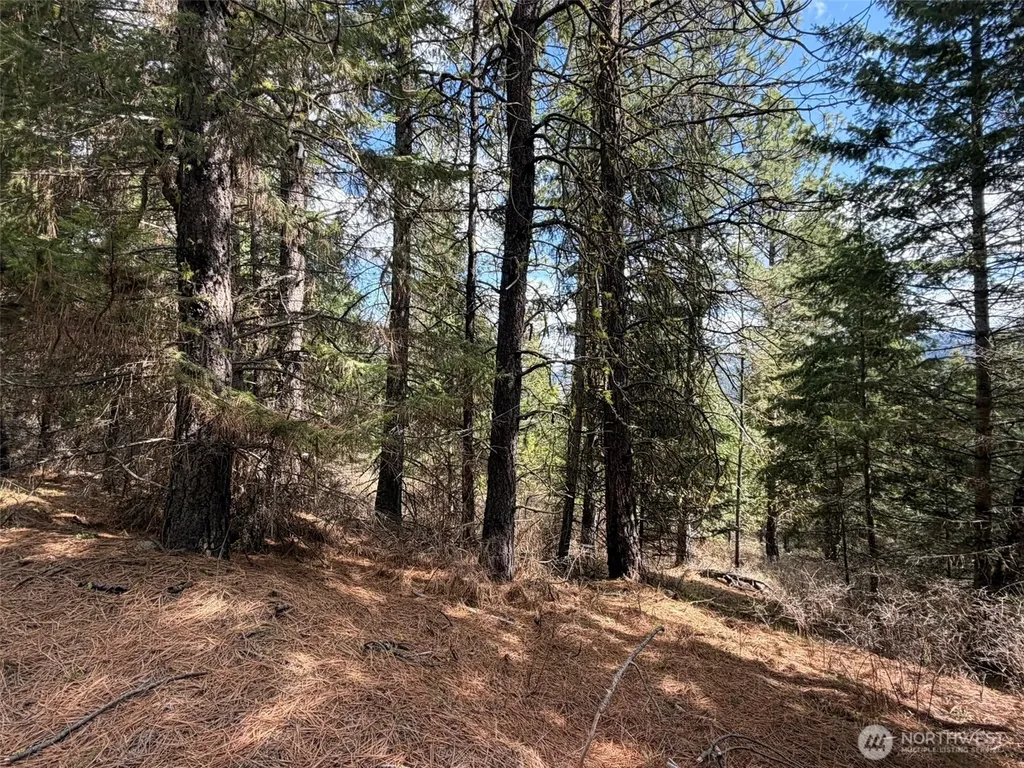 111 West Curlew Lake Road Republic WA 99166