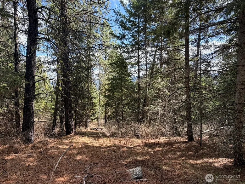 111 West Curlew Lake Road Republic WA 99166