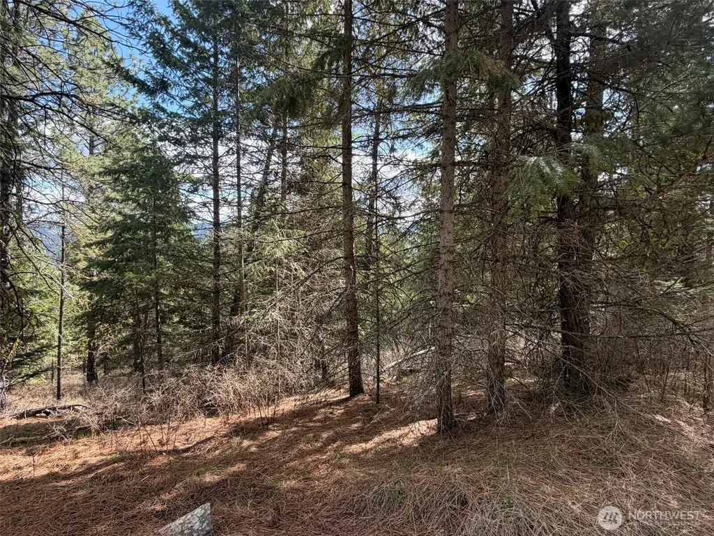 111 West Curlew Lake Road Republic WA 99166