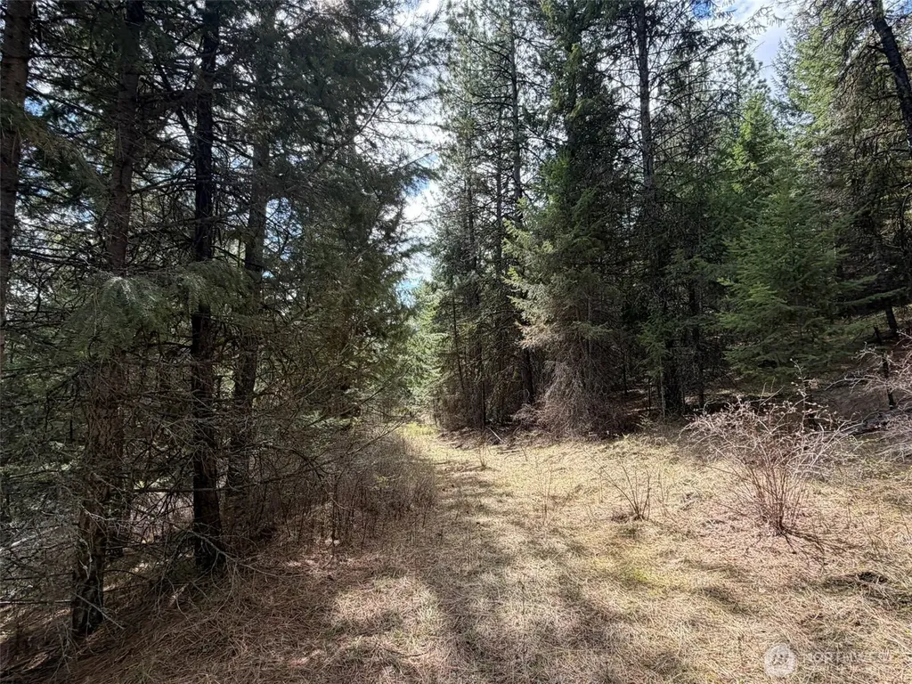 111 West Curlew Lake Road Republic WA 99166
