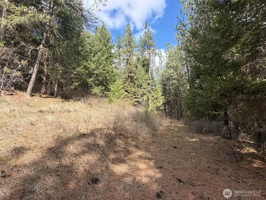 111 West Curlew Lake Road Republic WA 99166
