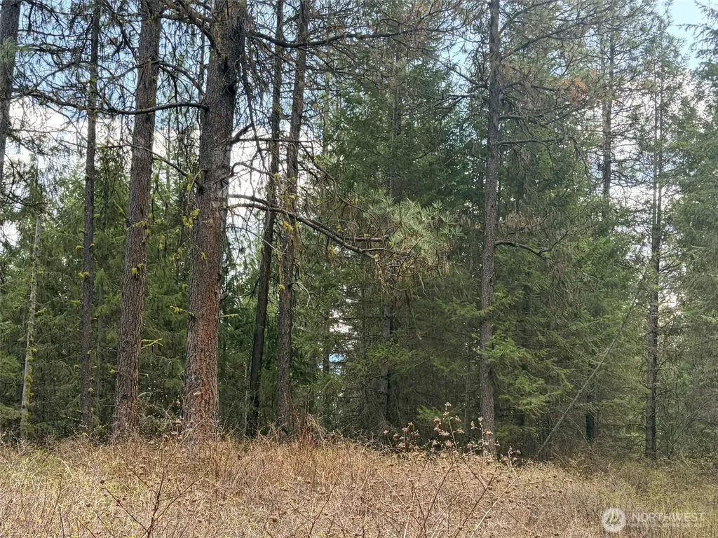 111 West Curlew Lake Road Republic WA 99166