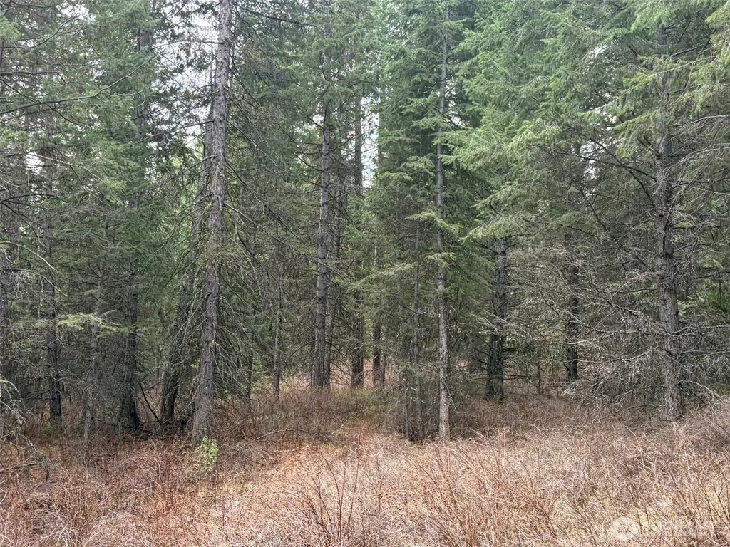 111 West Curlew Lake Road Republic WA 99166