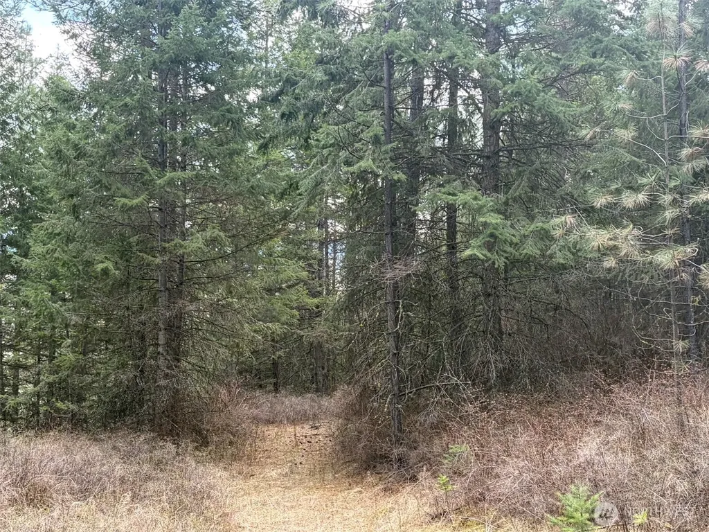 111 West Curlew Lake Road Republic WA 99166