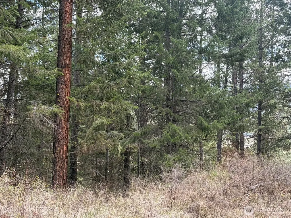 111 West Curlew Lake Road Republic WA 99166