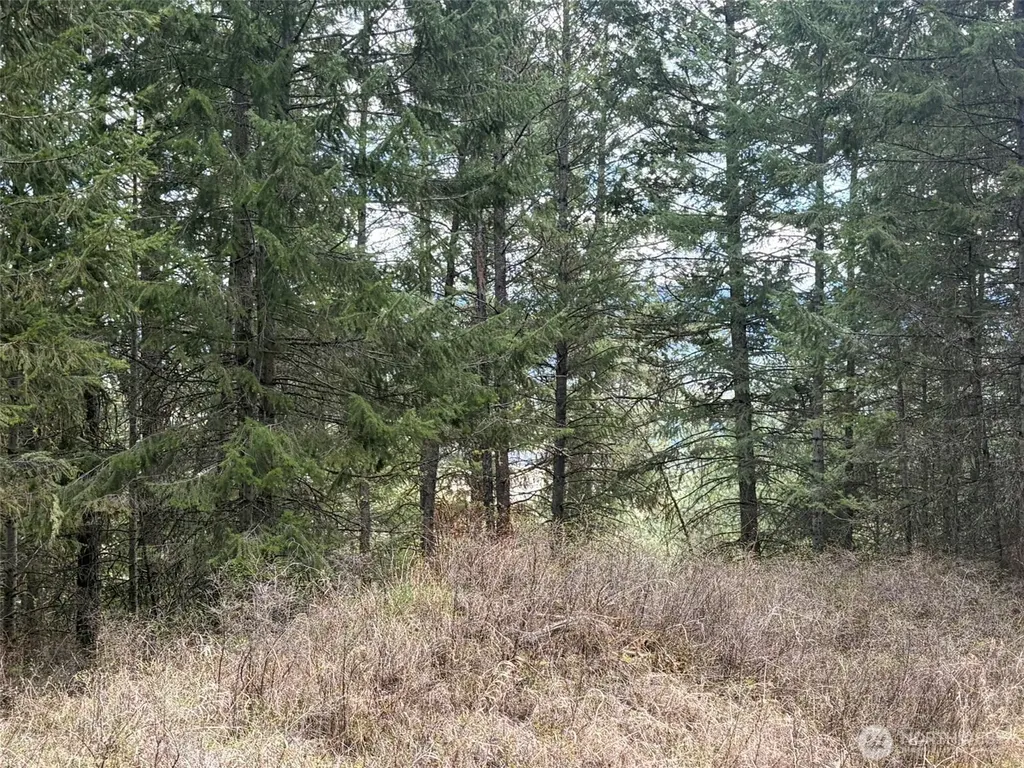 111 West Curlew Lake Road Republic WA 99166