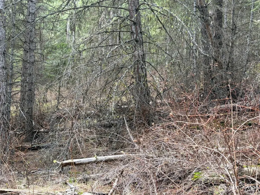 111 West Curlew Lake Road Republic WA 99166