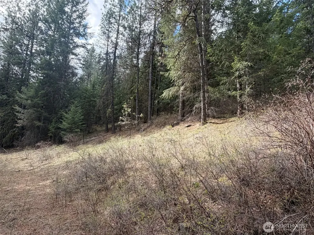 111 West Curlew Lake Road Republic WA 99166