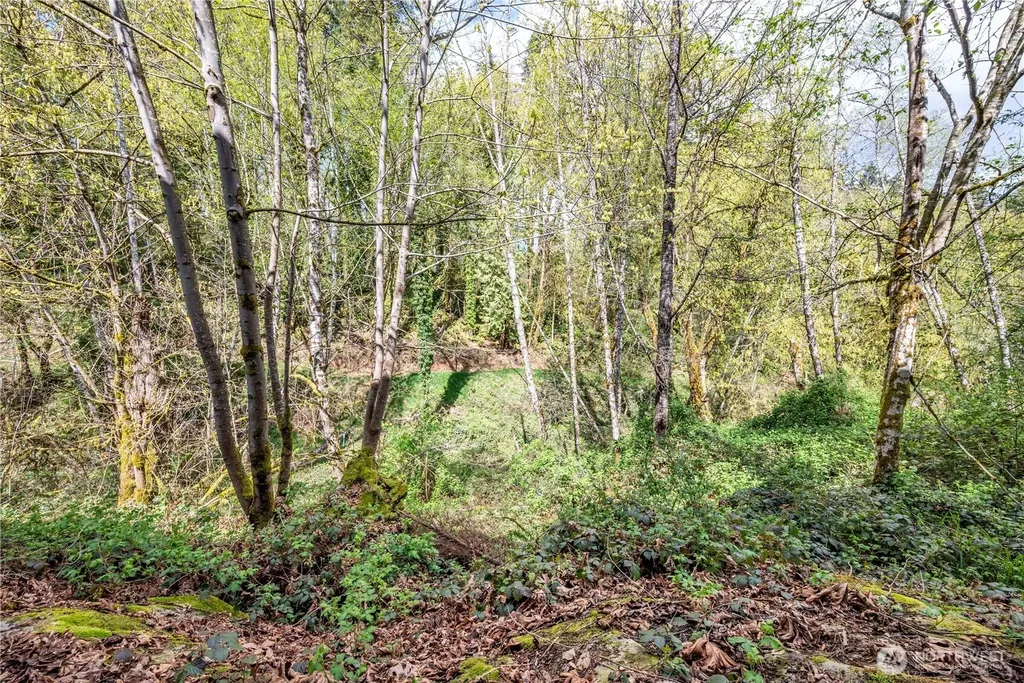 148 W Canyon View Drive Longview WA 98632
