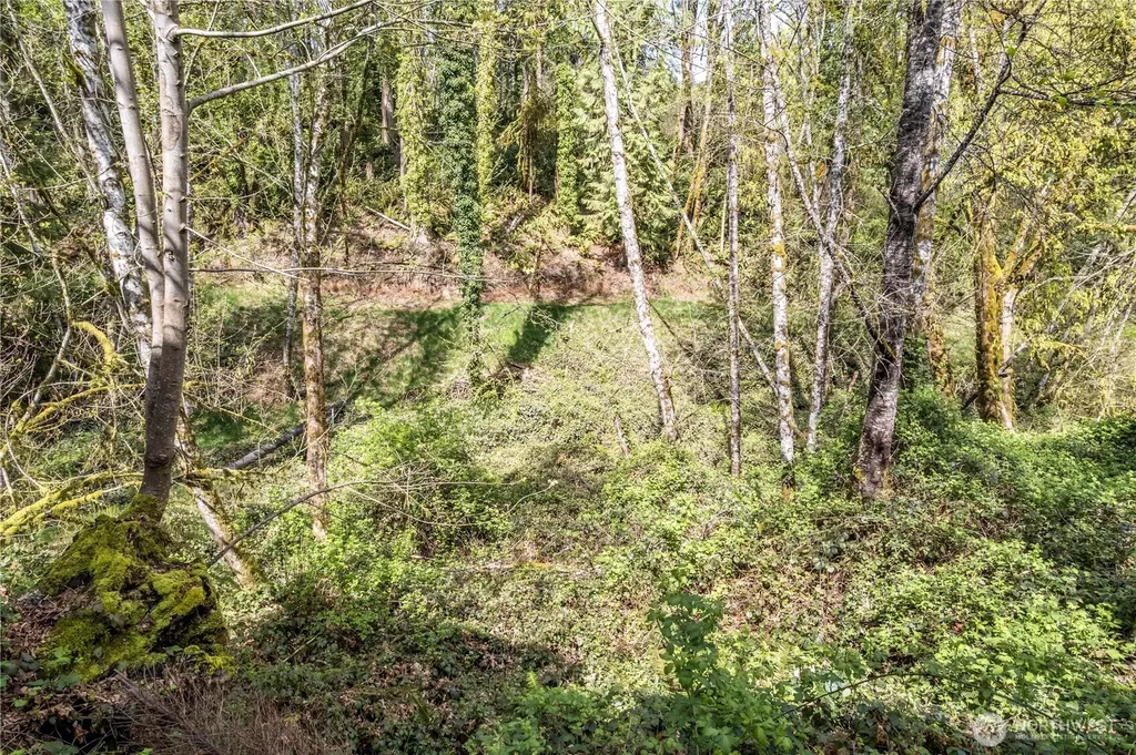 148 W Canyon View Drive Longview WA 98632