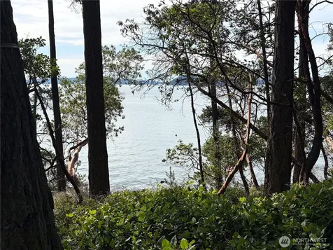 86 Shag Rock Lane Orcas Island WA 98245