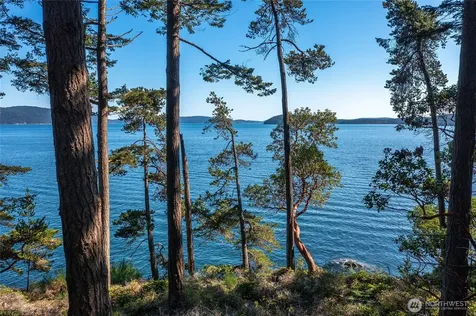 86 Shag Rock Lane Orcas Island WA 98245