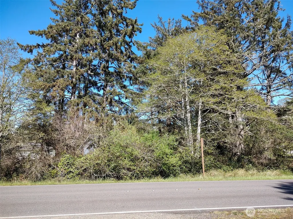 374 Mt Olympus Avenue SE Ocean Shores WA 98569