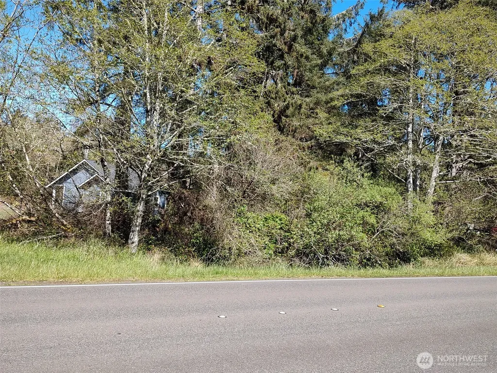 374 Mt Olympus Avenue SE Ocean Shores WA 98569