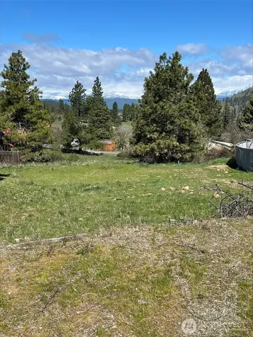881 Sunlight Drive Cle Elum WA 98922