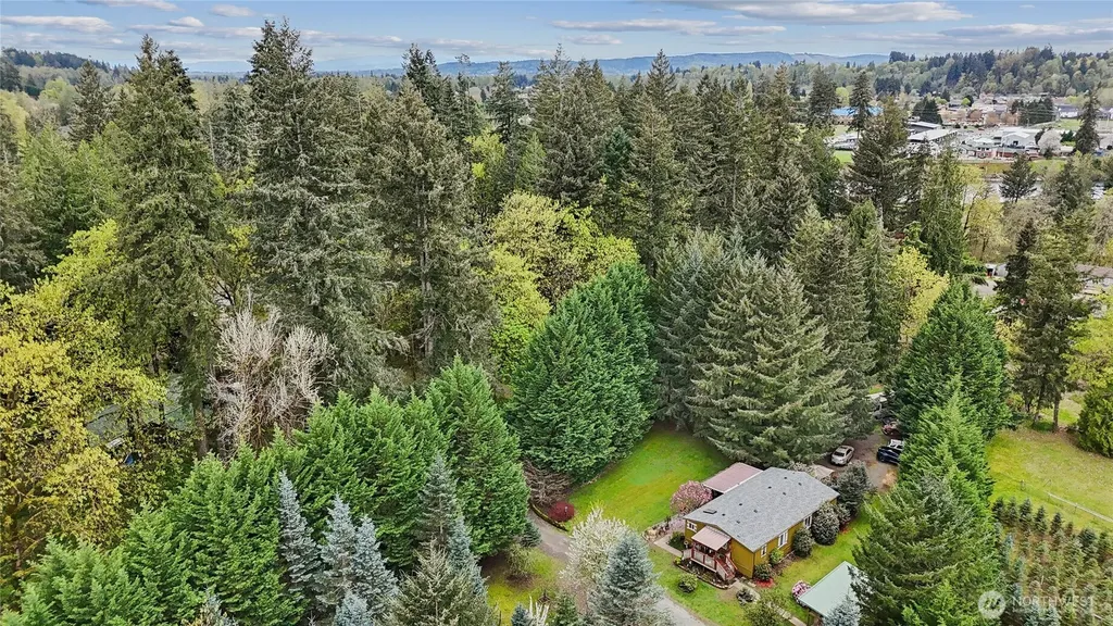 4116 NW Fir Tree Drive Woodland WA 98674
