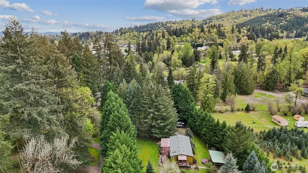 4116 NW Fir Tree Drive Woodland WA 98674