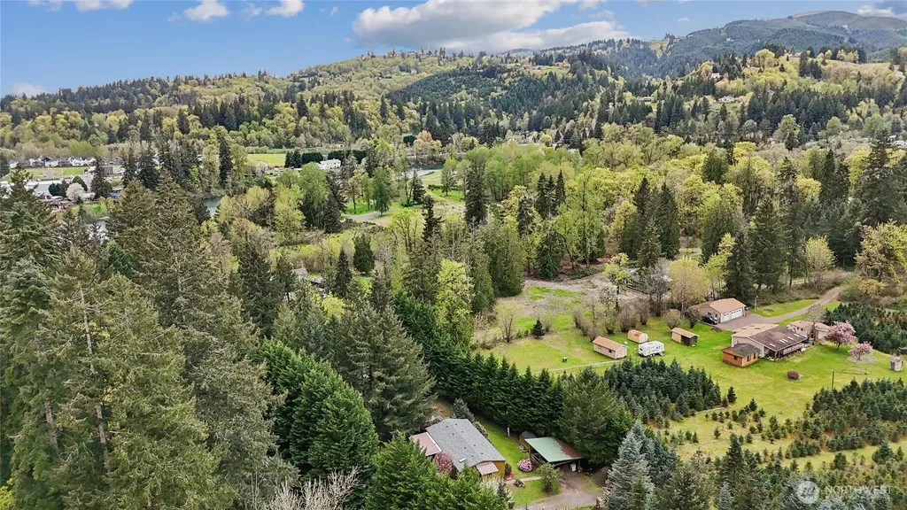 4116 NW Fir Tree Drive Woodland WA 98674
