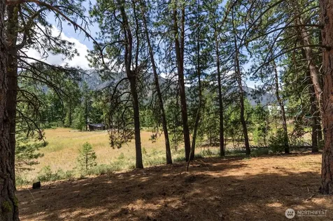 58 Homestead Road Winthrop WA 98862