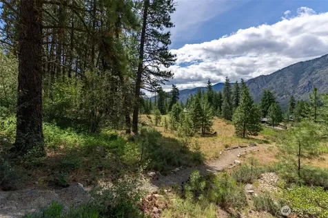 58 Homestead Road Winthrop WA 98862