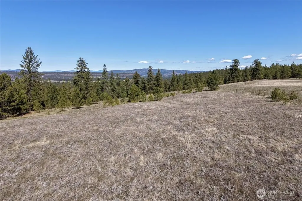 0 N Hayford Road Spokane WA 99224