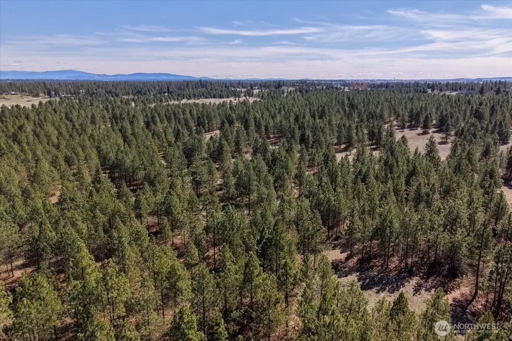 0 N Hayford Road Spokane WA 99224