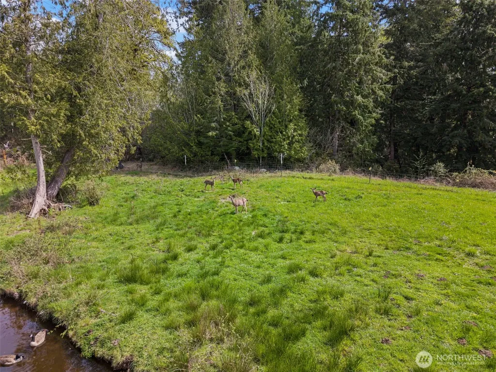 291 E Orchid Lane Grapeview WA 98546