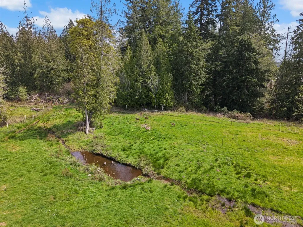291 E Orchid Lane Grapeview WA 98546