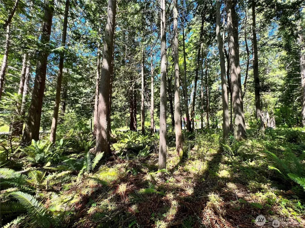 158 Tyee Drive Point Roberts WA 98281