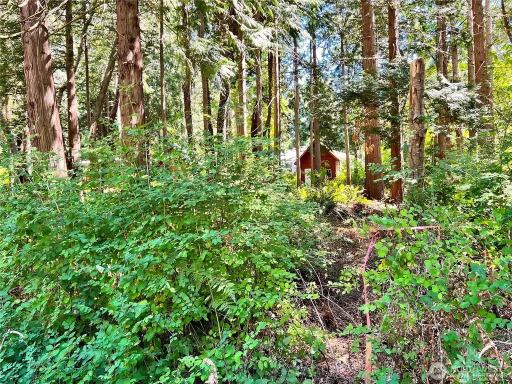 158 Tyee Drive Point Roberts WA 98281