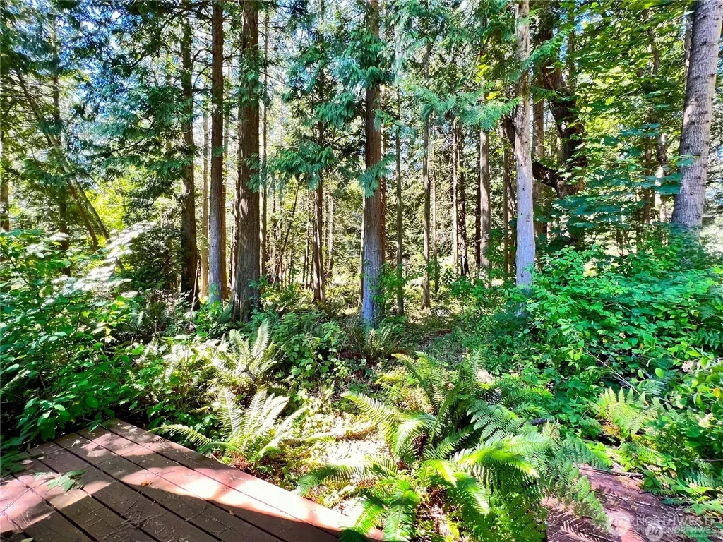 158 Tyee Drive Point Roberts WA 98281